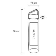 T 134 CILINDRO DEXTER