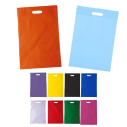 BL 004 BOLSA ECOX