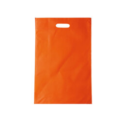 BL 004 BOLSA ECOX