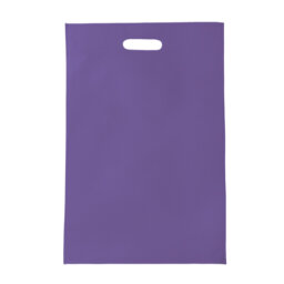 BL 004 BOLSA ECOX