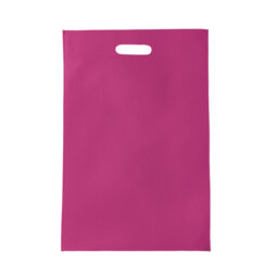 BL 004 BOLSA ECOX