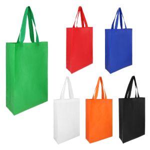BL 067 BOLSA TERRA