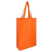BL 067 BOLSA TERRA