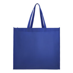 BL 068 BOLSA ECO