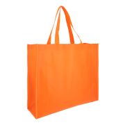 BL 068 BOLSA ECO