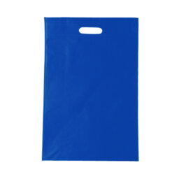 BL 004 BOLSA ECOX
