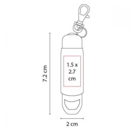 LAM 050 LLAVERO LEO