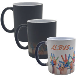 SB 08 TAZA ALBUS