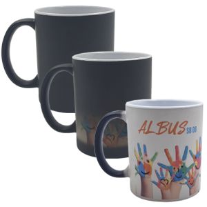 SB 08 TAZA ALBUS