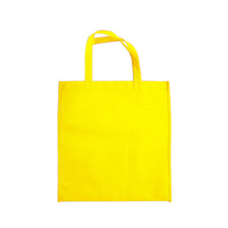 BL 008 BOLSA GREEN