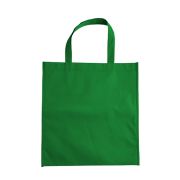 BL 008 BOLSA GREEN
