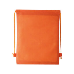 BL 002 BOLSA DUCK
