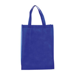 BL 005 BOLSA PACIFIC