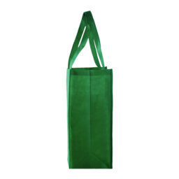 BL 005 BOLSA PACIFIC