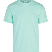 PLAYERA CABALLERO