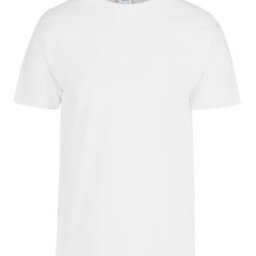 PLAYERA CABALLERO