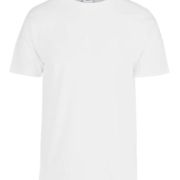 PLAYERA CABALLERO