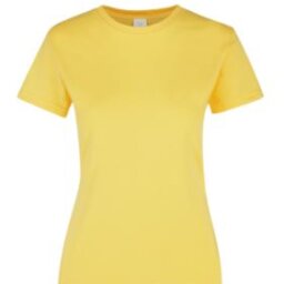 PLAYERA DAMA