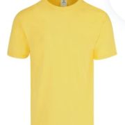 PLAYERA CABALLERO