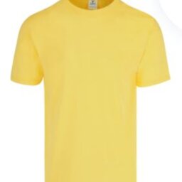 PLAYERA CABALLERO