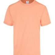 PLAYERA CABALLERO