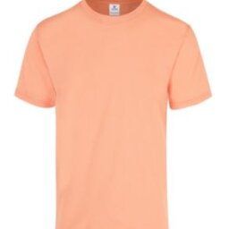 PLAYERA CABALLERO