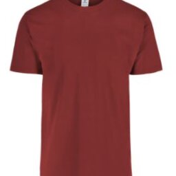 PLAYERA CABALLERO