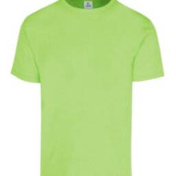 PLAYERA CABALLERO