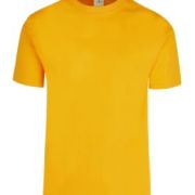 PLAYERA CABALLERO