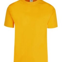 PLAYERA CABALLERO