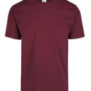 PLAYERA CABALLERO