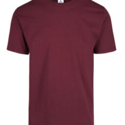 PLAYERA CABALLERO