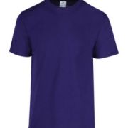 PLAYERA CABALLERO