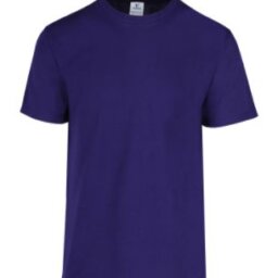 PLAYERA CABALLERO