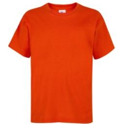 PLAYERA NIÑO