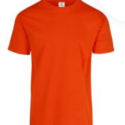 PLAYERA CABALLERO