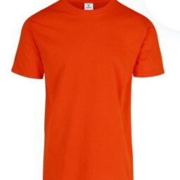PLAYERA CABALLERO