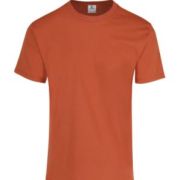PLAYERA CABALLERO