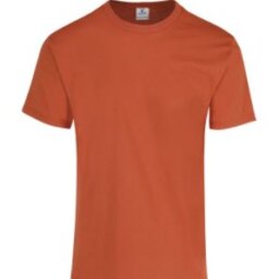 PLAYERA CABALLERO