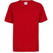 PLAYERA CABALLERO