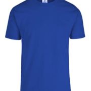 PLAYERA CABALLERO