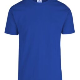 PLAYERA CABALLERO