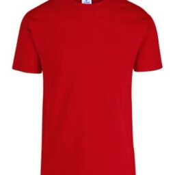 PLAYERA CABALLERO
