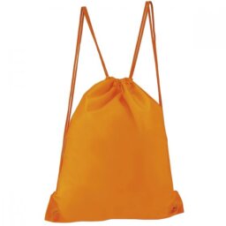 SIN 021 BOLSA-MORRAL PRISMA