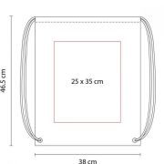 SIN 021 BOLSA-MORRAL PRISMA