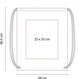 SIN 021 BOLSA-MORRAL PRISMA