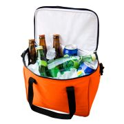 TX-021 HIELERA 12 PACK
