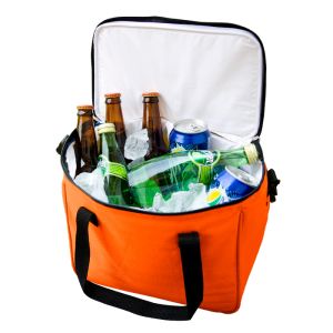 TX-021 HIELERA 12 PACK
