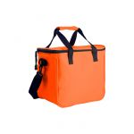 TX-021 HIELERA 12 PACK