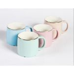 TE-089 TAZA FERN